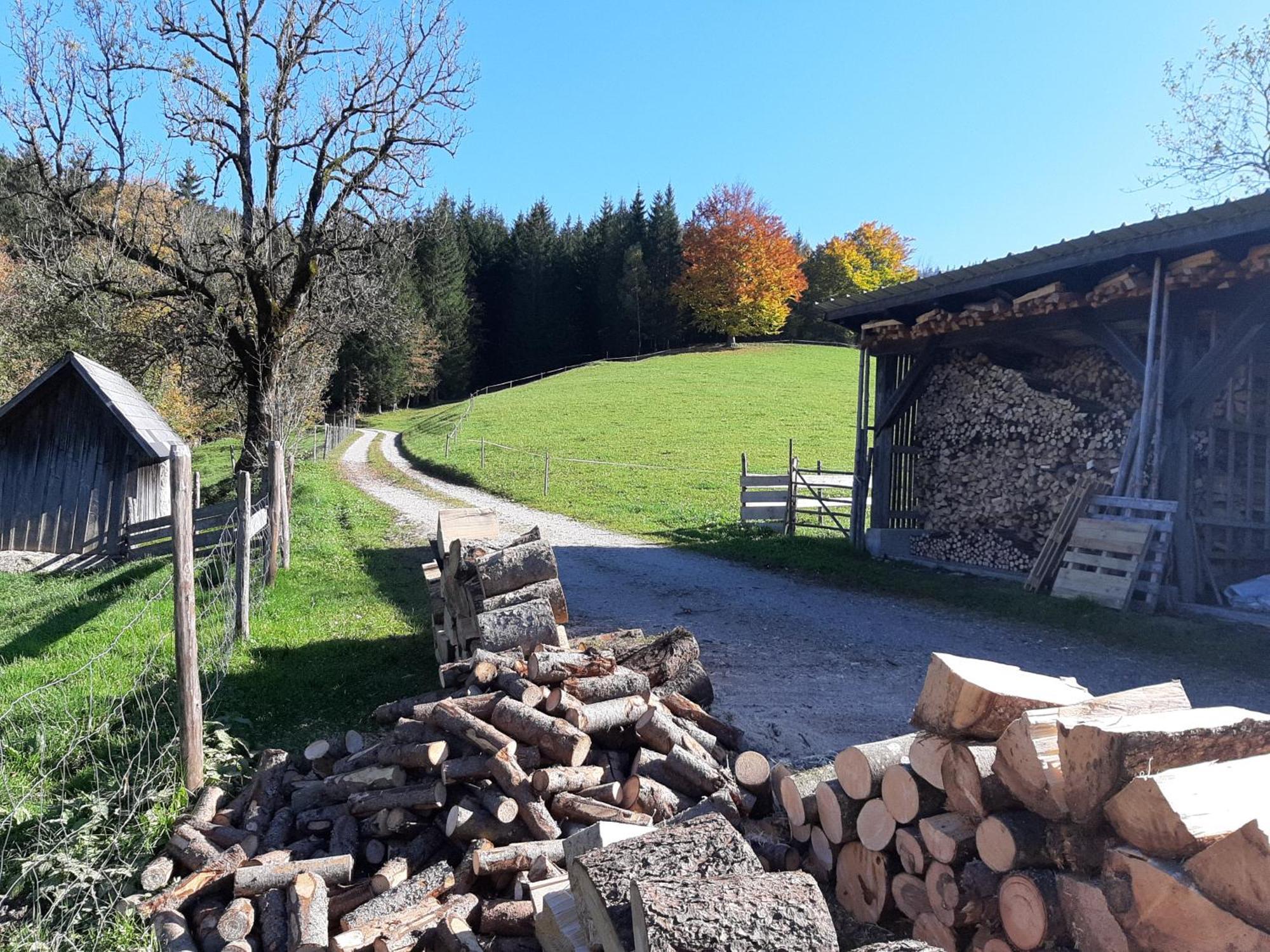 Bauernhof Ablass Göstling an der Ybbs Exterior foto